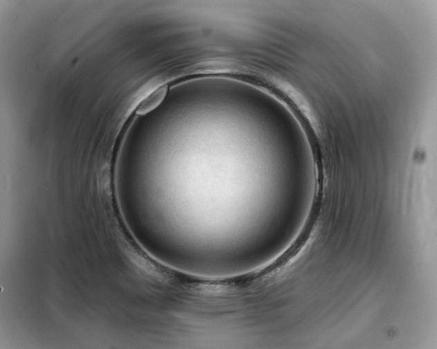 X0000099451465200805091455