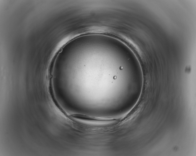 X0000099451467200805091455