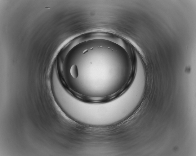X0000099451468200805091455