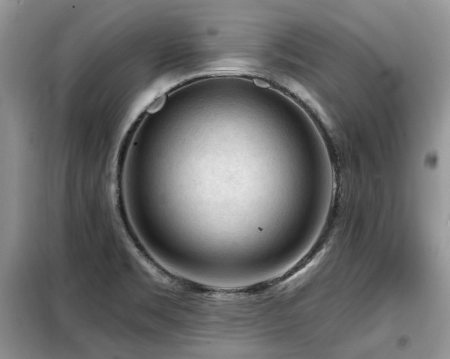 X0000099451469200805091455
