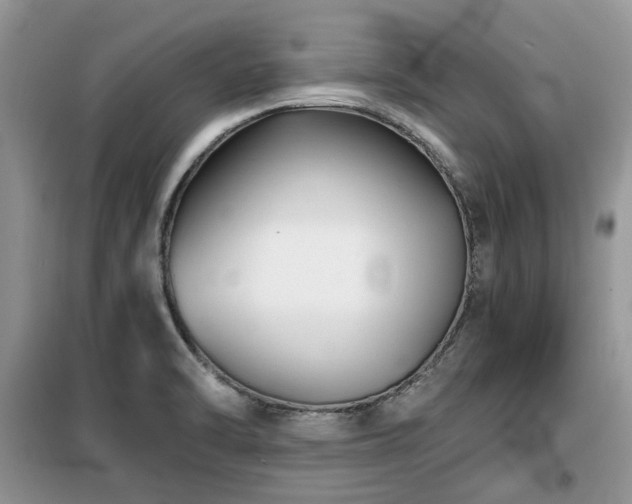 X0000099451470200805091455