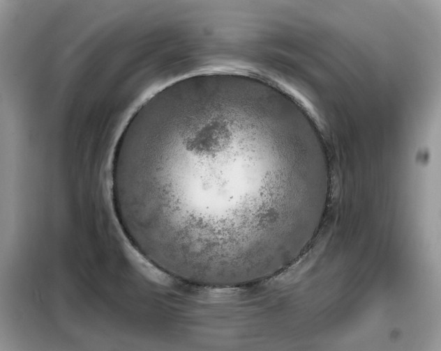 X0000099451471200805091455