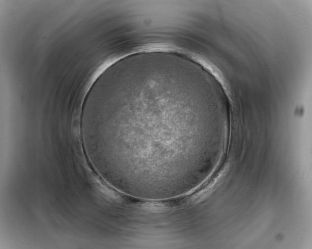 X0000099451473200805091455