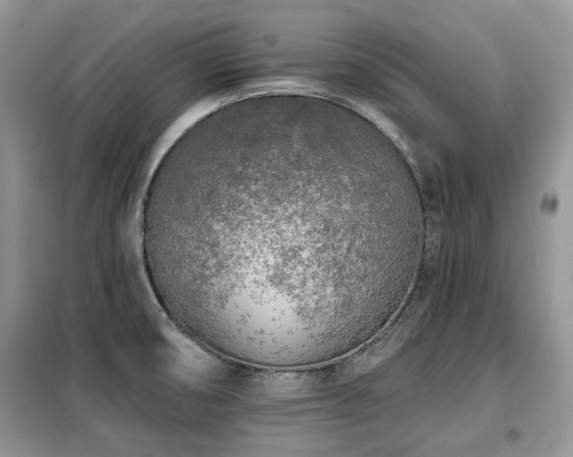 X0000099451474200805091455