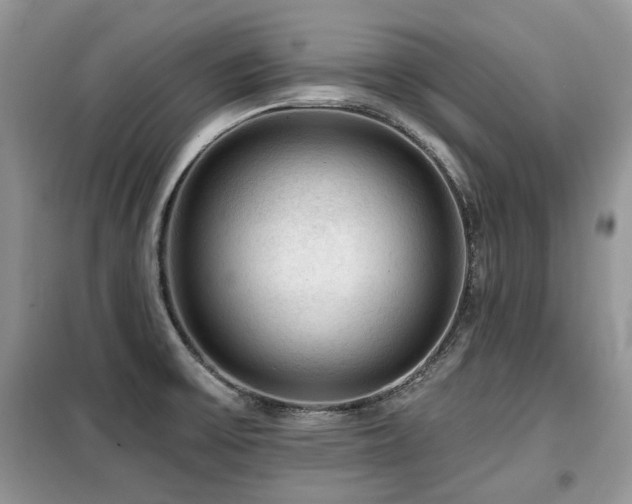 X0000099451475200805091455