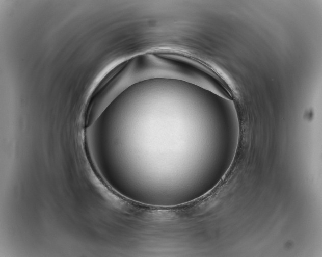 X0000099451476200805091455