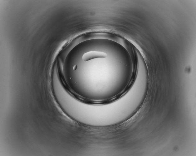X0000099451477200805091455