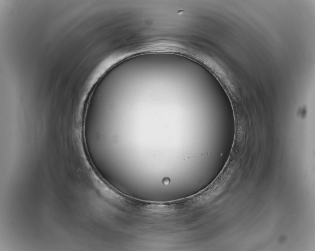 X0000099451478200805091455
