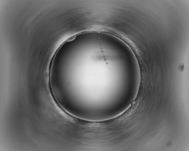 X0000099451479200805091455