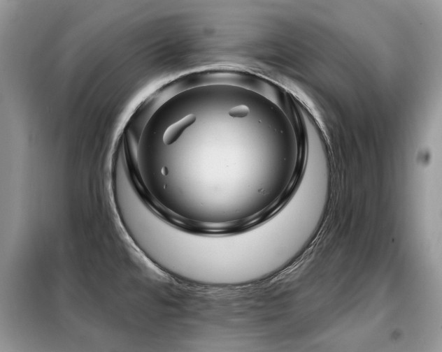 X0000099451480200805091455