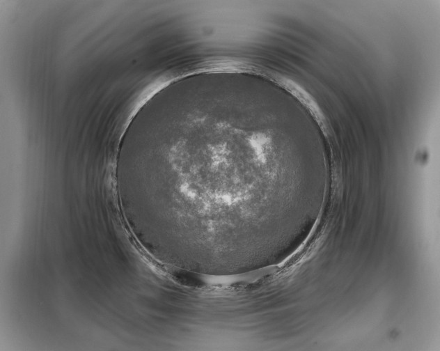 X0000099451481200805091455