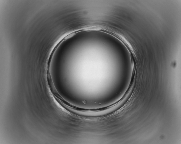 X0000099451484200805091455