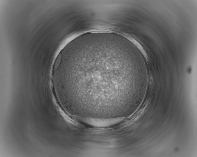 X0000099451485200805091455