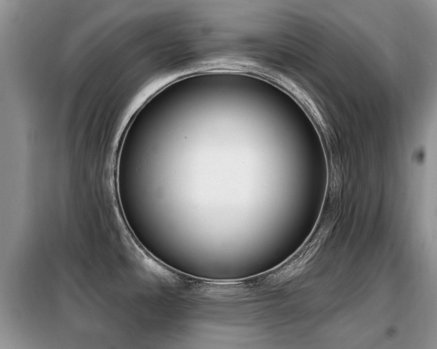 X0000099451486200805091455