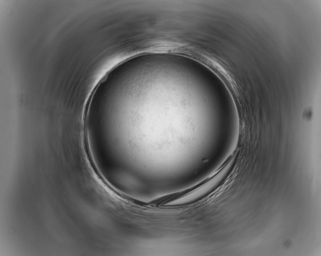 X0000099451487200805091455