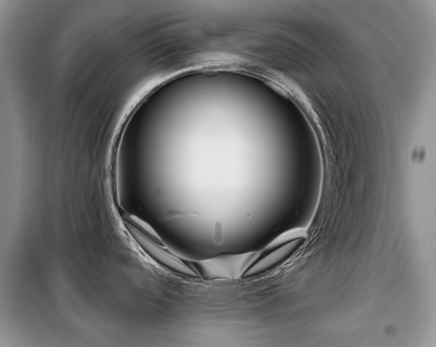X0000099451488200805091455