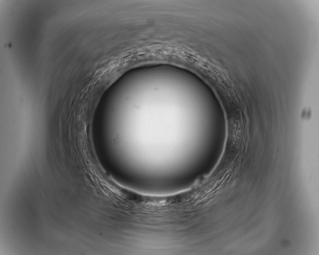 X0000099451489200805091454