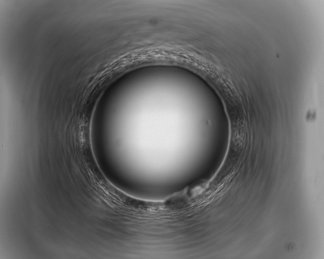 X0000099451490200805091454