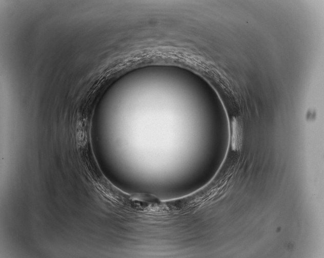 X0000099451491200805091454