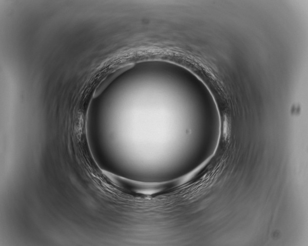 X0000099451492200805091454