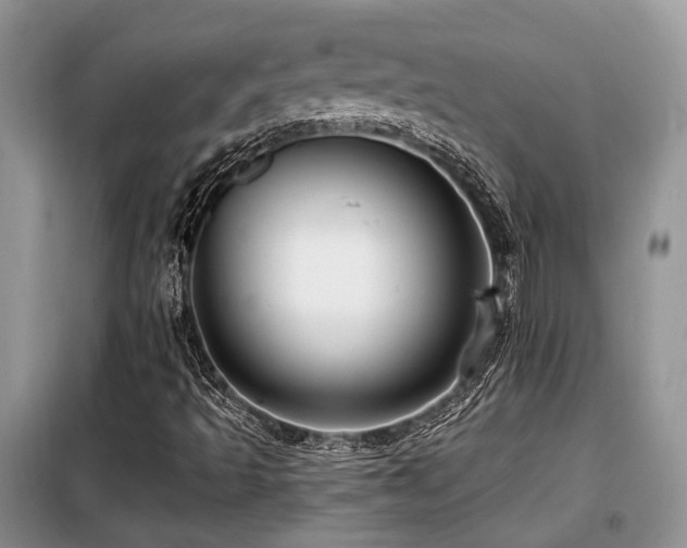 X0000099451493200805091454