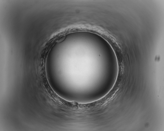 X0000099451494200805091454