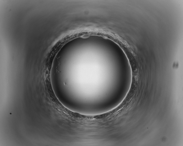 X0000099451495200805091454