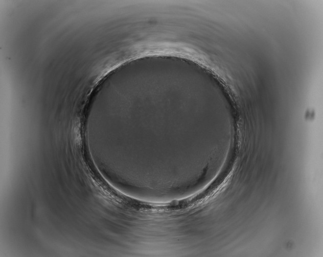 X0000099451497200805091454