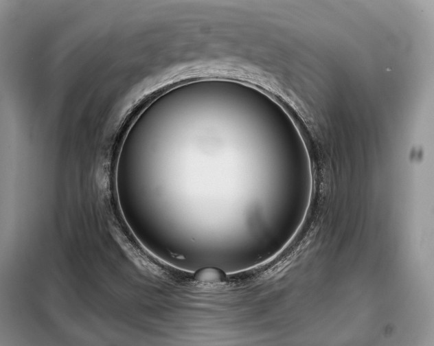 X0000099451499200805091454