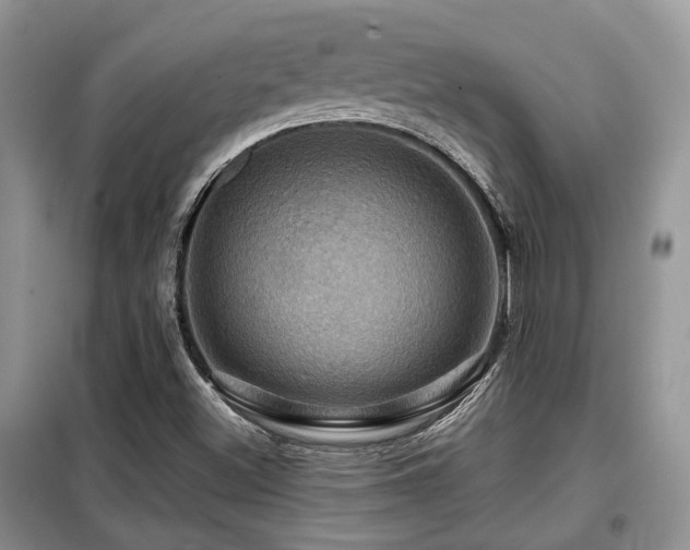 X0000099451500200805091454