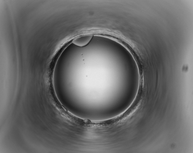 X0000099451501200805091454