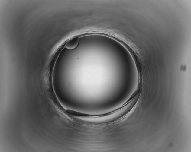 X0000099451502200805091454