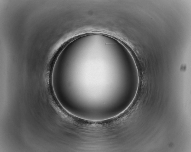 X0000099451503200805091454