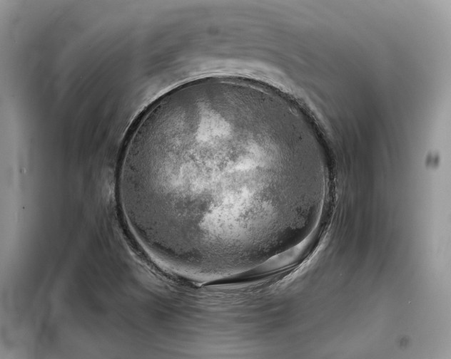 X0000099451505200805091455