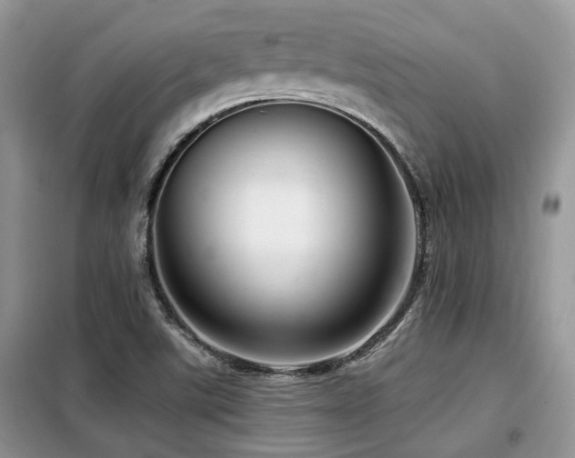 X0000099451507200805091455