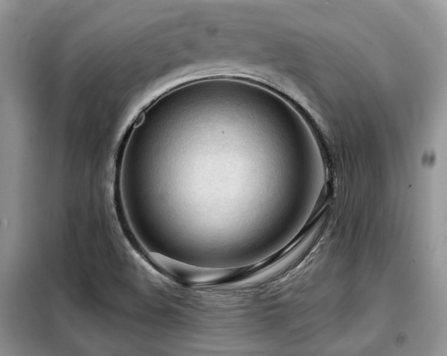 X0000099451508200805091455