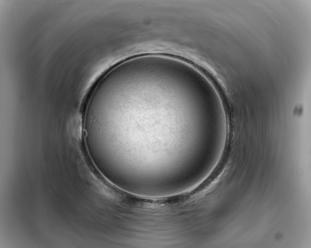 X0000099451509200805091455