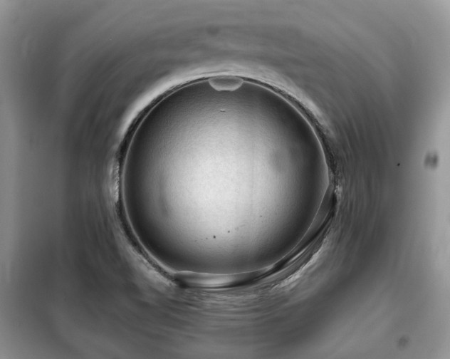 X0000099451510200805091455