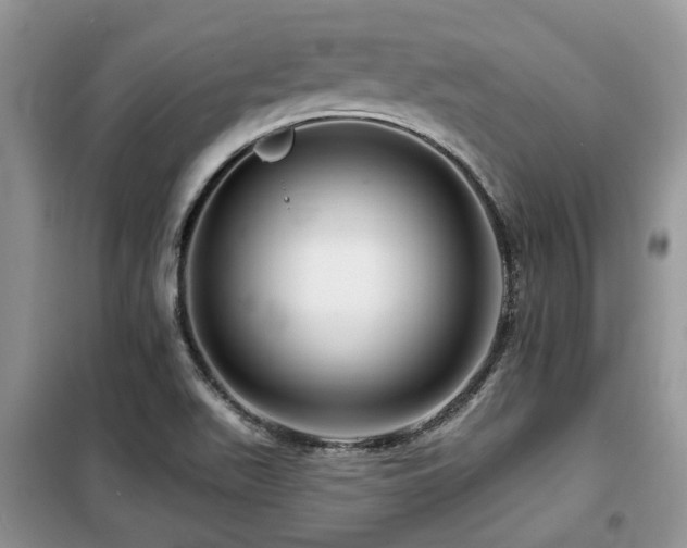 X0000099451511200805091455