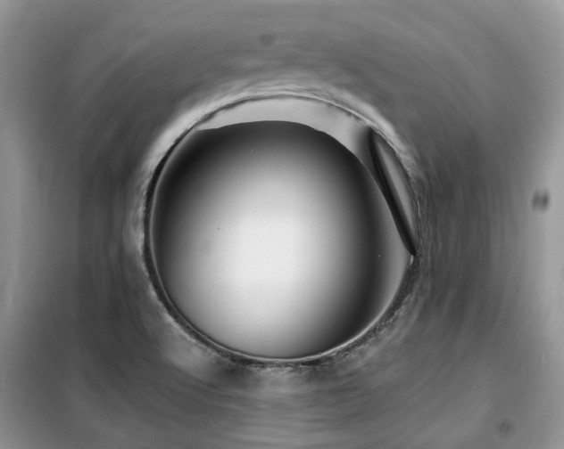 X0000099451512200805091455