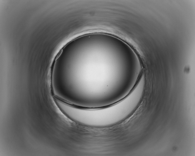 X0000099451516200805091455