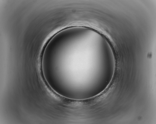 X0000099451517200805091455