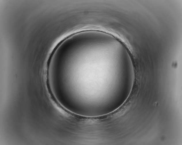 X0000099451519200805091455