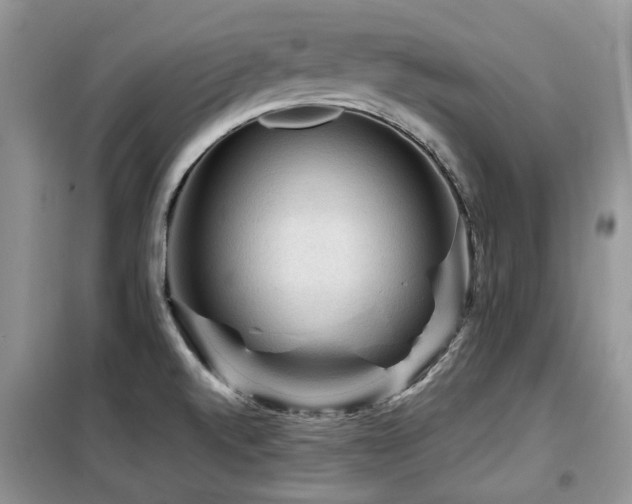X0000099451520200805091455