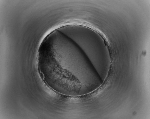 X0000099451522200805091455