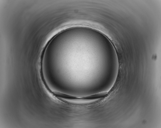 X0000099451523200805091455