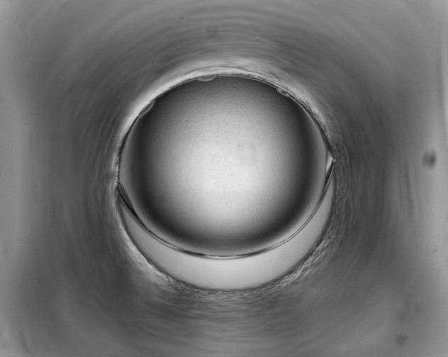 X0000099451524200805091455