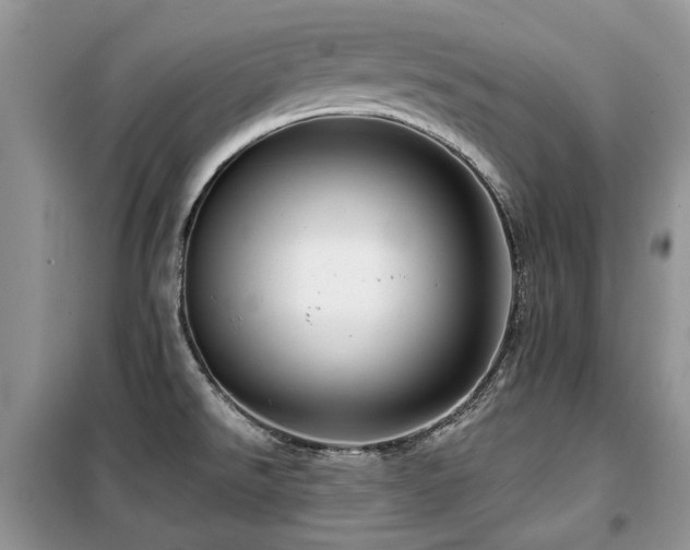 X0000099451526200805091455