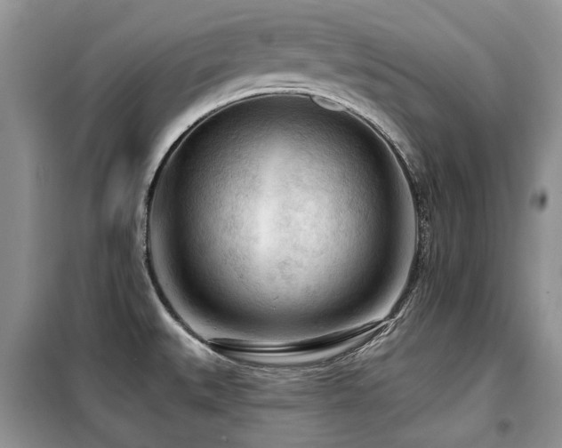 X0000099451527200805091455