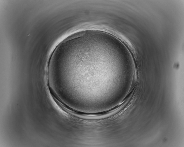 X0000099451528200805091455
